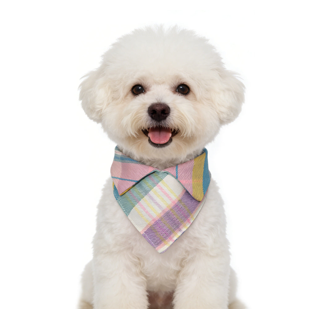 Rainbow Plaid Macaron Bandana Dog / Cat Bib