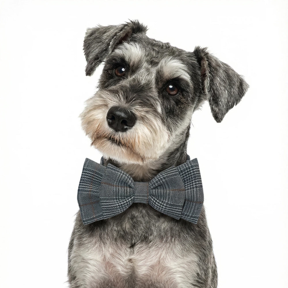 Checkered woven cotton pet bow collar