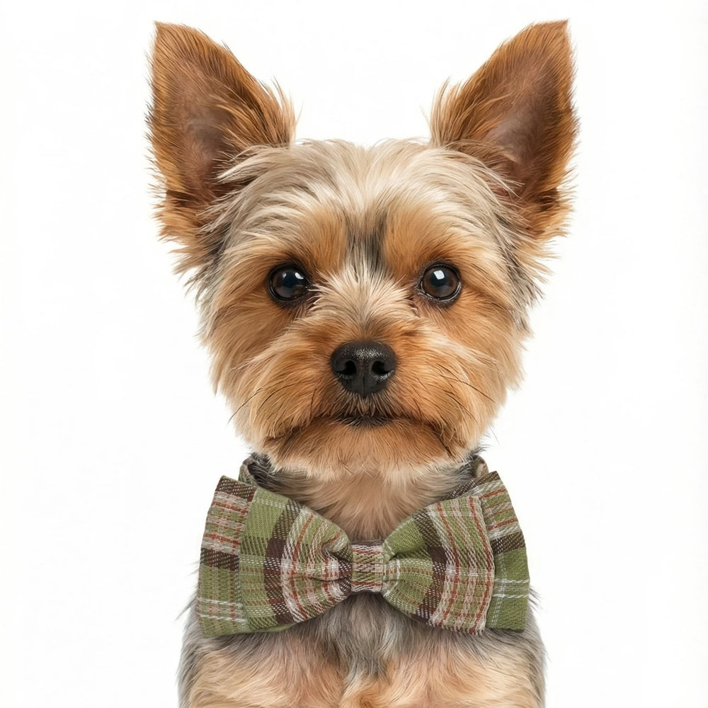 Forest-Style Green and Brown Plaid Cotton Pet Bow Tie Collar
