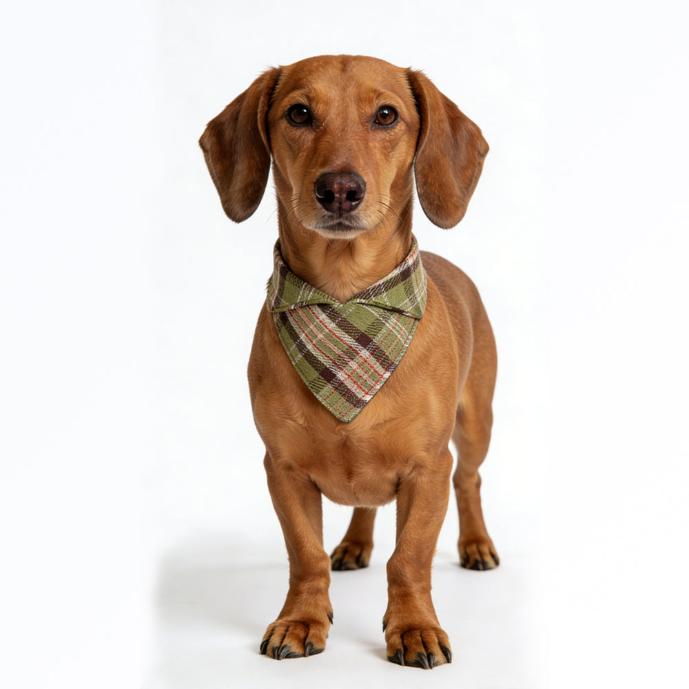 Forest-Style Green and Brown Plaid Pet Bandana Bib