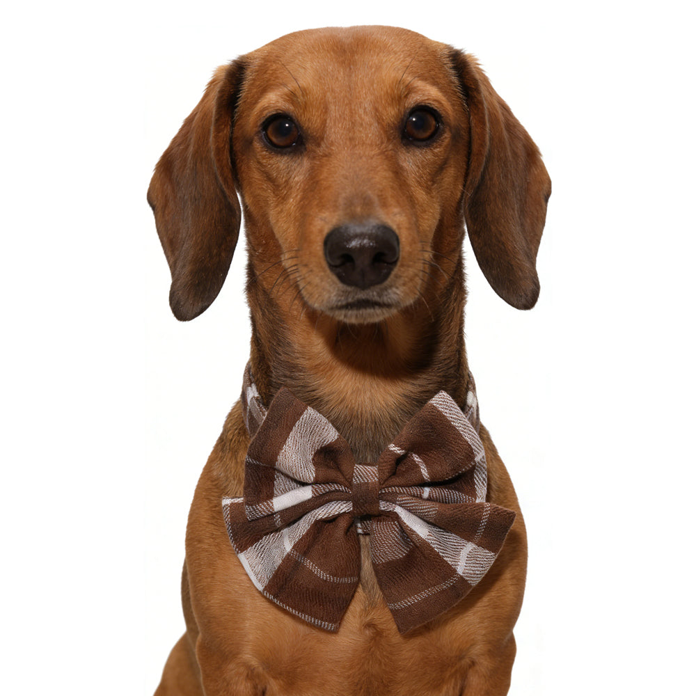 Retro Brown and White Plaid Cotton Woven Pet Bow Tie Collar