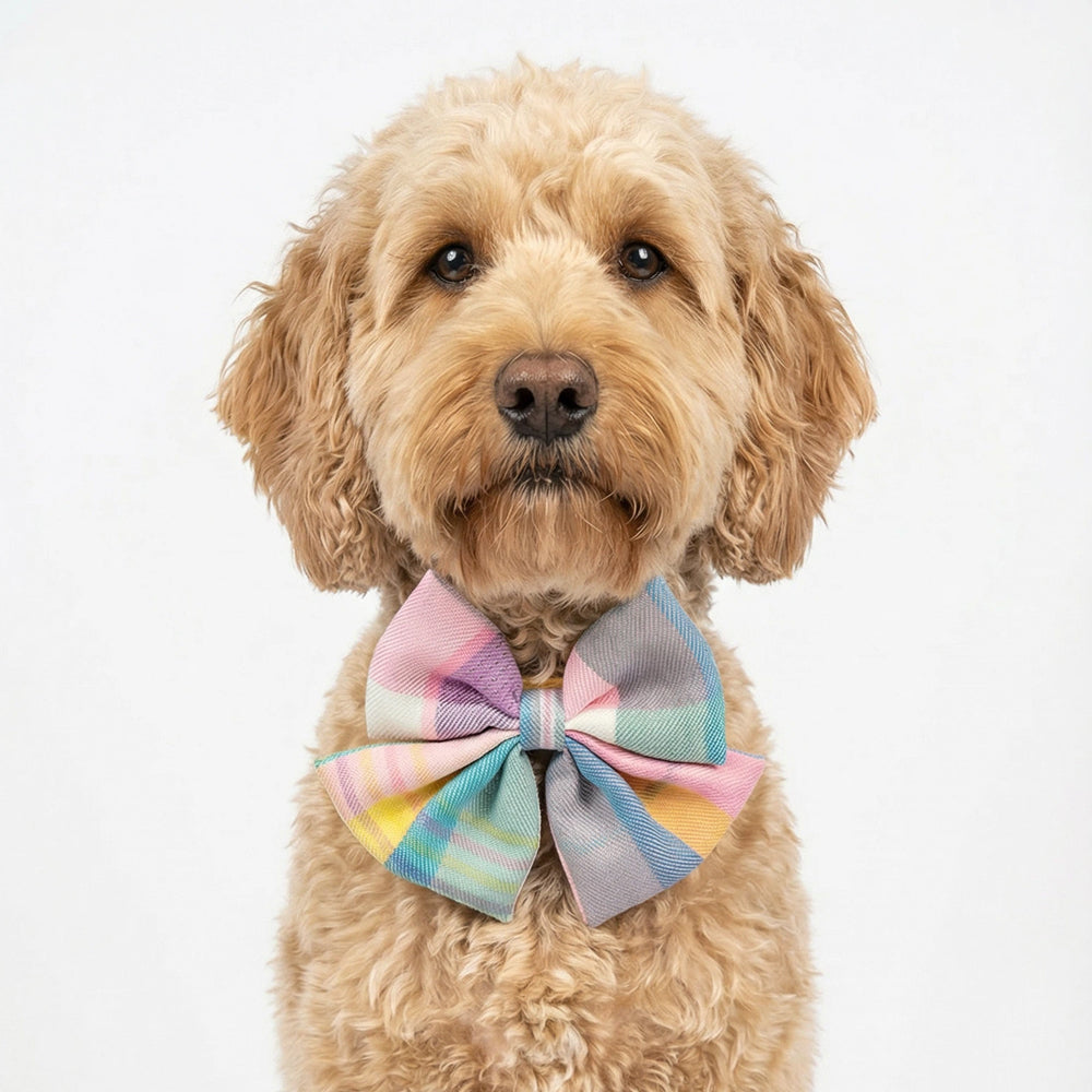 Rainbow Macaron Plaid Woven Cotton Pet Bow Collar