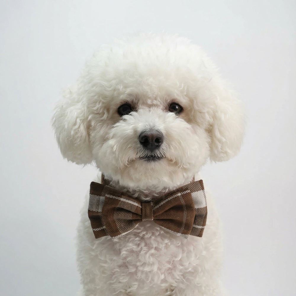 Retro Brown and White Plaid Cotton Pet Bow Tie Collar
